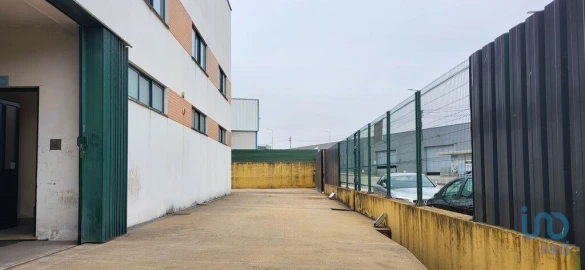 Armazém para Venda em Oiã