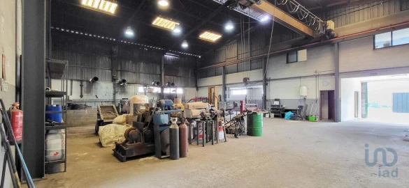 Armazém para Venda em Oiã