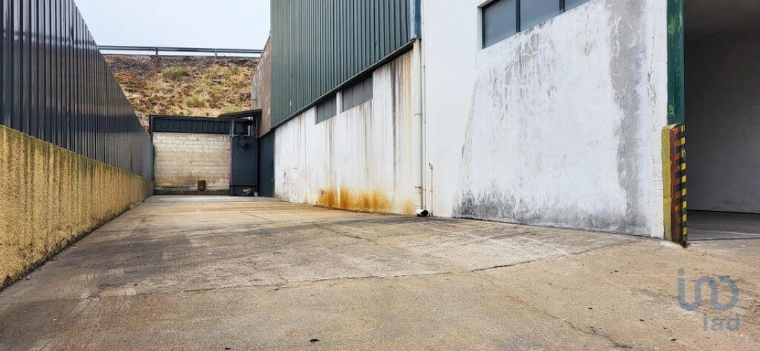 Armazém para Venda em Oiã Foto 5