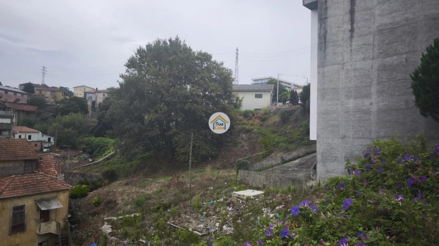 Terreno para Venda em Oliveira do Douro Foto 4