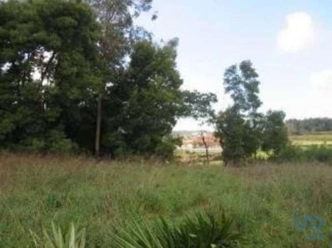Terreno para Venda em Gondomar (São Cosme), Valbom e Jovim Foto 4