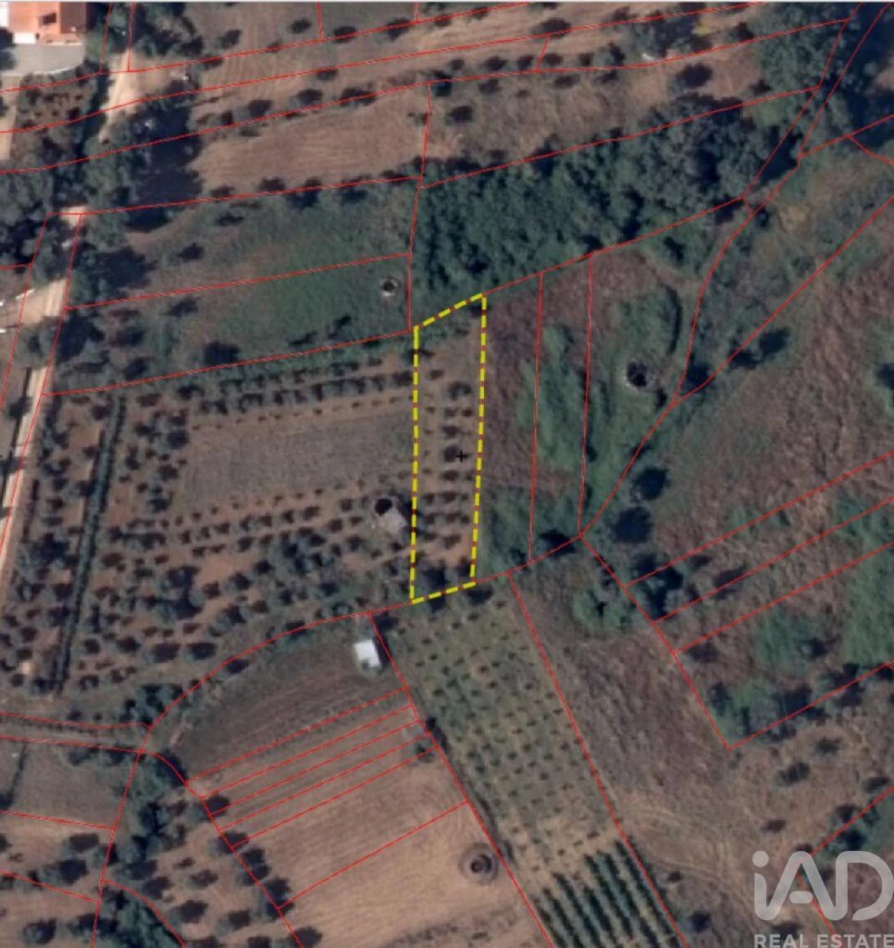 Terreno para Venda em Nossa Senhora do Pranto Foto 29