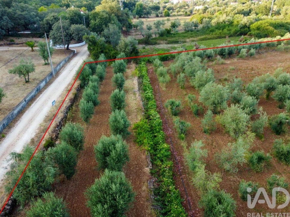 Terreno para Venda em Nossa Senhora do Pranto Foto 21
