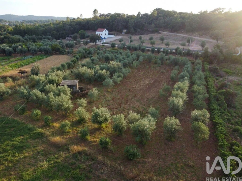 Terreno para Venda em Nossa Senhora do Pranto Foto 27