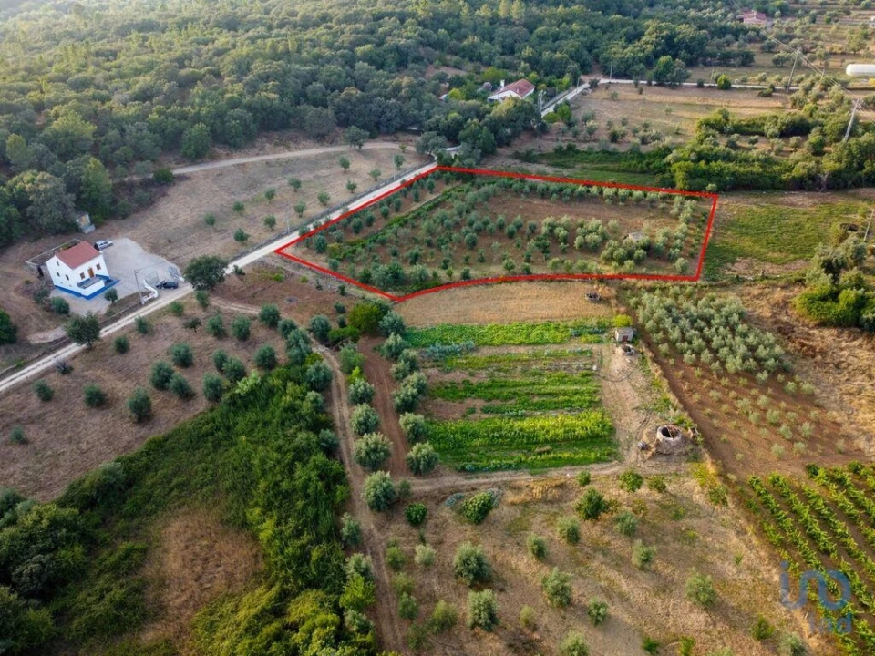 Terreno para Venda em Nossa Senhora do Pranto Foto 14