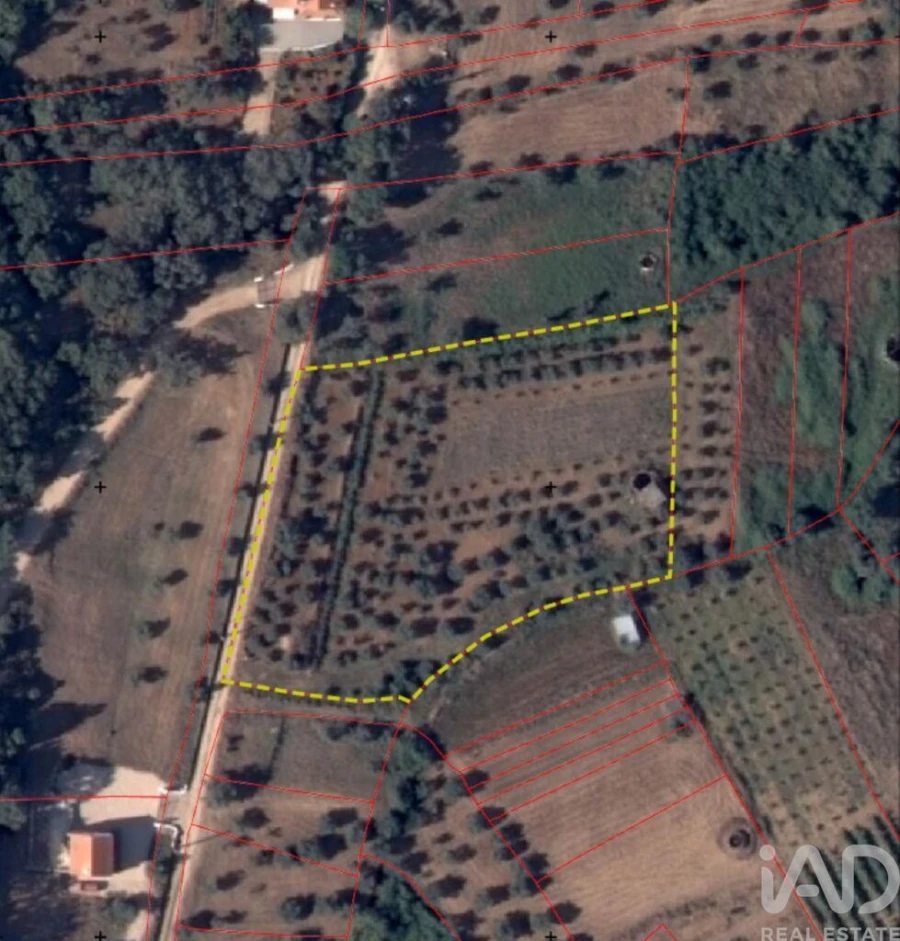 Terreno para Venda em Nossa Senhora do Pranto Foto 28