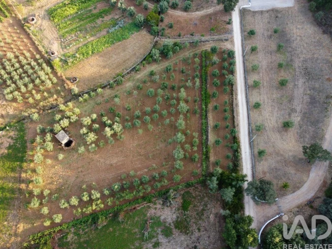 Terreno para Venda em Nossa Senhora do Pranto Foto 18