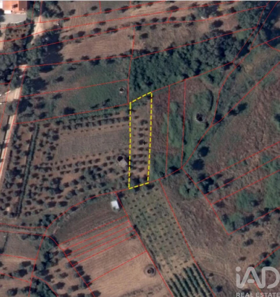 Terreno para Venda em Nossa Senhora do Pranto Foto 29