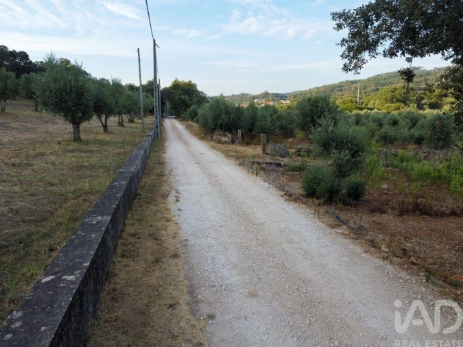 Terreno para Venda em Nossa Senhora do Pranto Foto 19