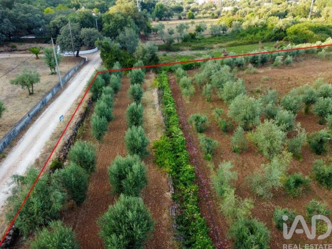Terreno para Venda em Nossa Senhora do Pranto Foto 21
