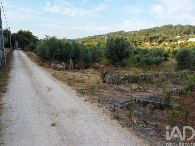 Terreno para Venda em Nossa Senhora do Pranto Foto 20