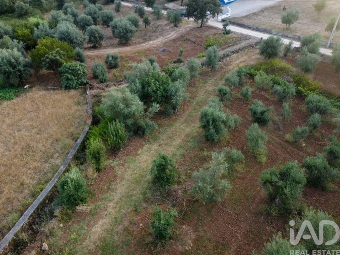 Terreno para Venda em Nossa Senhora do Pranto Foto 24