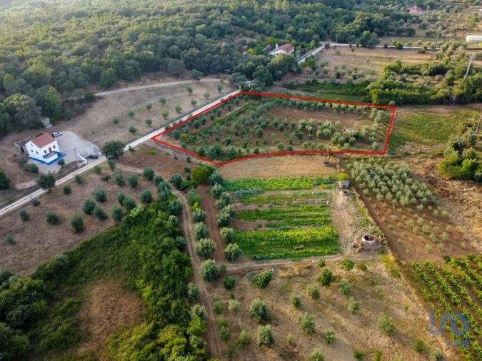 Terreno para Venda em Nossa Senhora do Pranto Foto 14