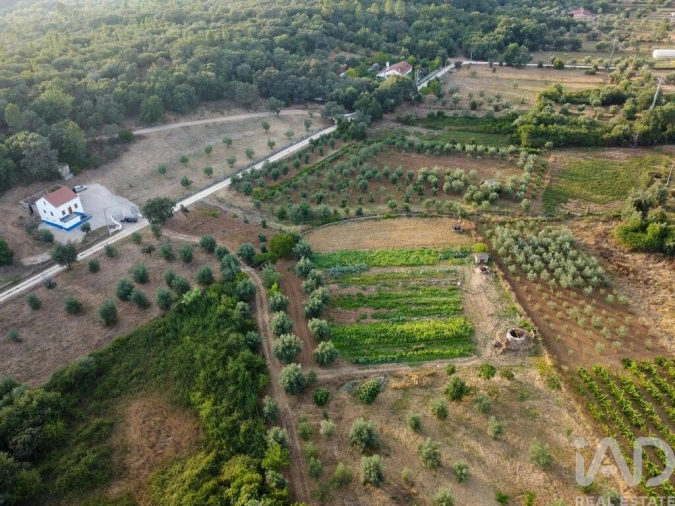 Terreno para Venda em Nossa Senhora do Pranto Foto 15