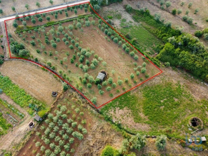 Terreno para Venda em Nossa Senhora do Pranto Foto 10