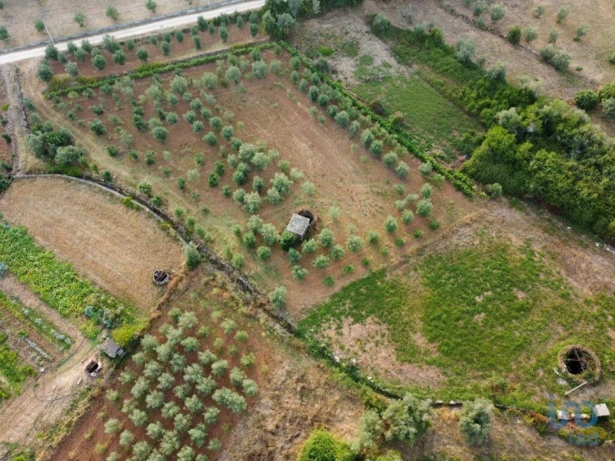 Terreno para Venda em Nossa Senhora do Pranto Foto 11