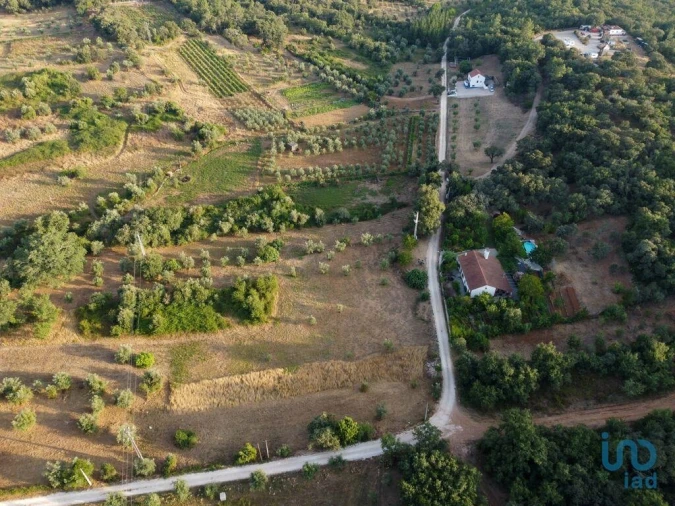 Terreno para Venda em Nossa Senhora do Pranto Foto 5