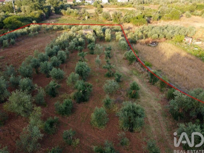 Terreno para Venda em Nossa Senhora do Pranto Foto 23