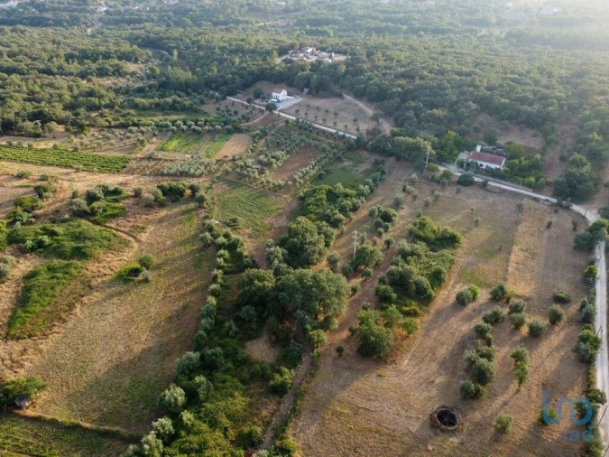 Terreno para Venda em Nossa Senhora do Pranto Foto 9