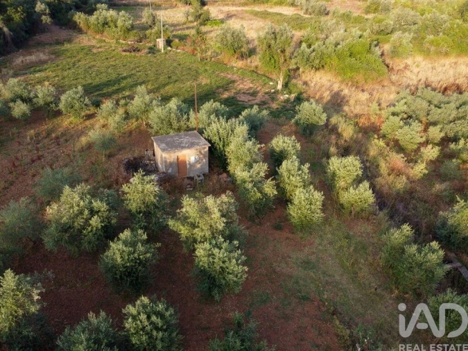 Terreno para Venda em Nossa Senhora do Pranto Foto 25