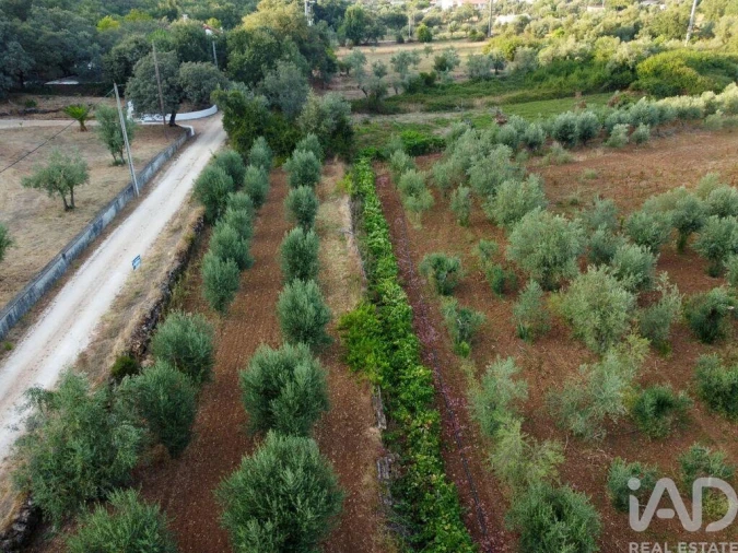 Terreno para Venda em Nossa Senhora do Pranto Foto 22