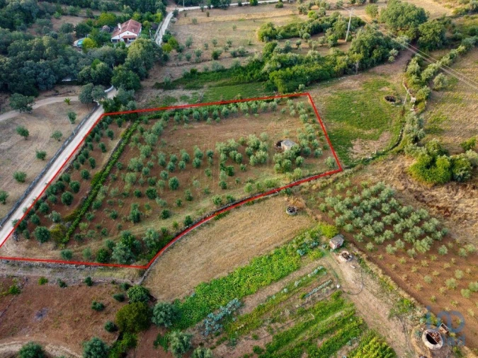 Terreno para Venda em Nossa Senhora do Pranto Foto 12