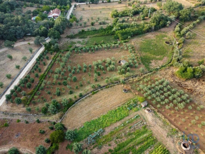 Terreno para Venda em Nossa Senhora do Pranto Foto 13