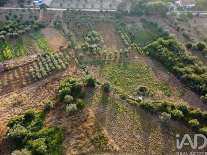 Terreno para Venda em Nossa Senhora do Pranto Foto 17