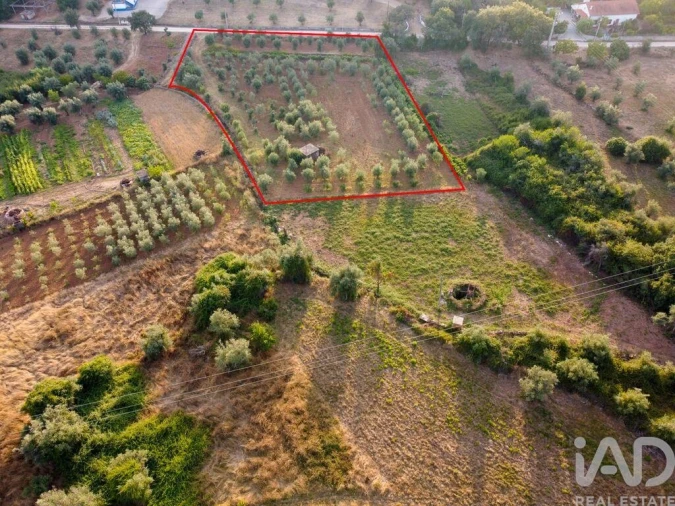 Terreno para Venda em Nossa Senhora do Pranto Foto 16