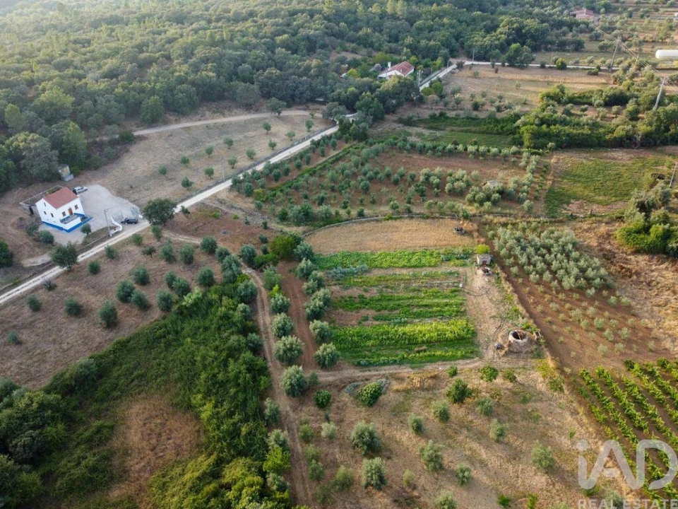 Terreno para Venda em Nossa Senhora do Pranto Foto 15