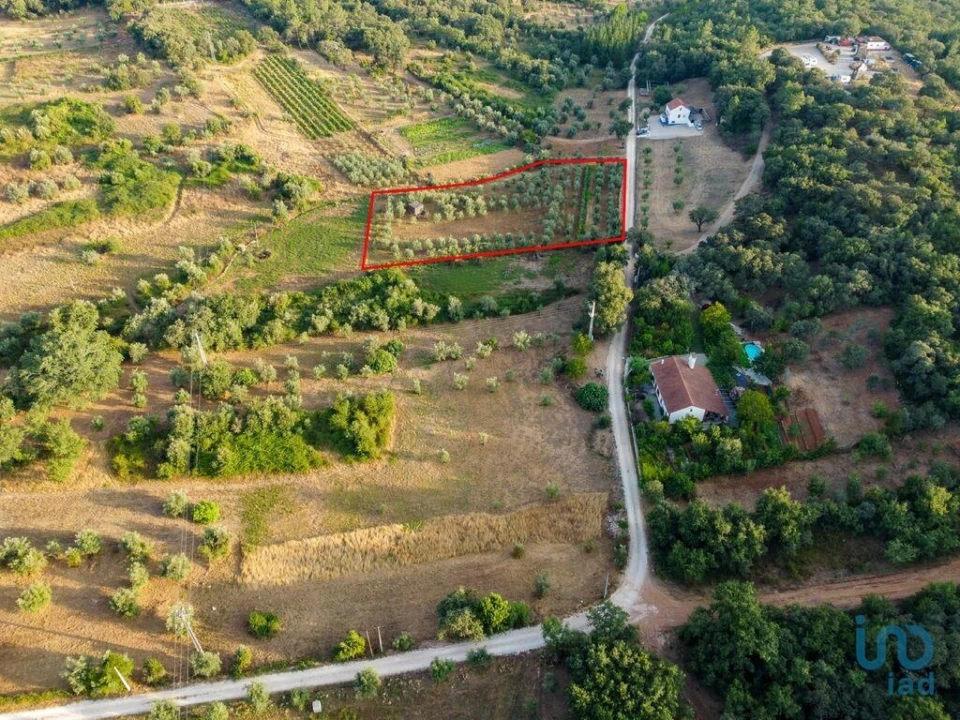 Terreno para Venda em Nossa Senhora do Pranto Foto 4