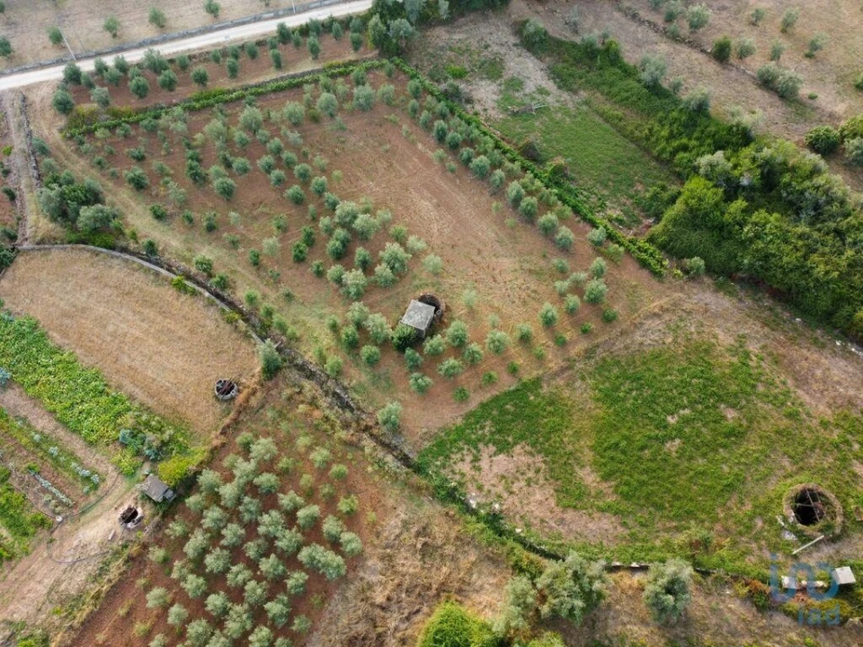 Terreno para Venda em Nossa Senhora do Pranto Foto 11