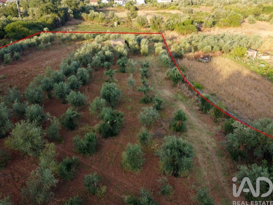 Terreno para Venda em Nossa Senhora do Pranto Foto 23