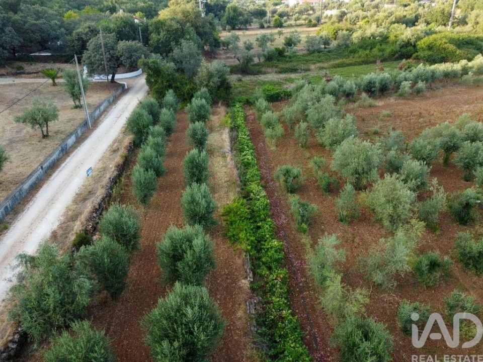 Terreno para Venda em Nossa Senhora do Pranto Foto 22