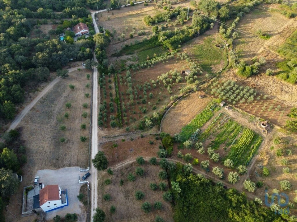 Terreno para Venda em Nossa Senhora do Pranto Foto 2