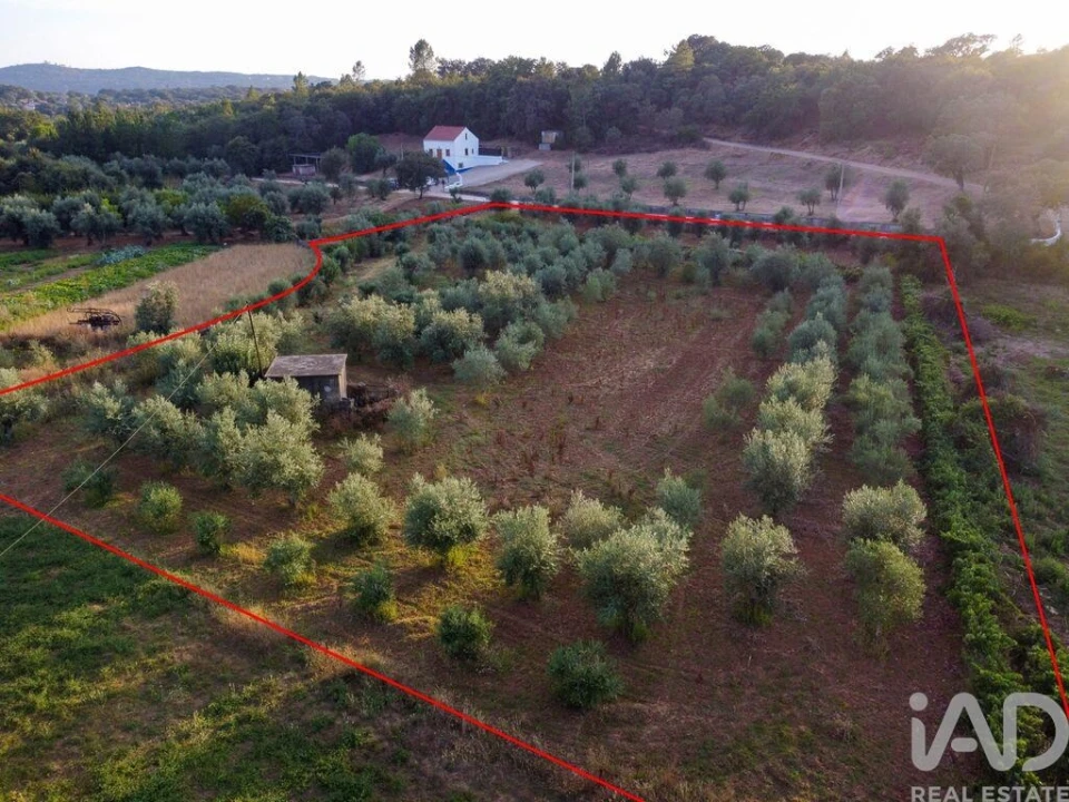 Terreno para Venda em Nossa Senhora do Pranto Foto 26