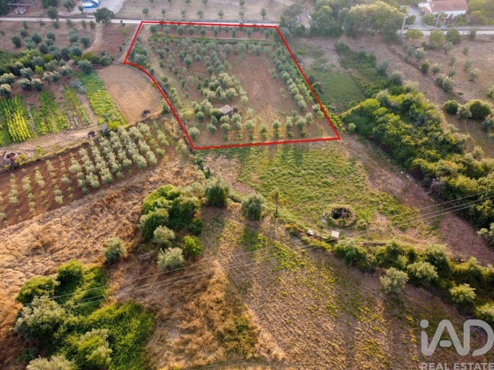 Terreno para Venda em Nossa Senhora do Pranto Foto 16