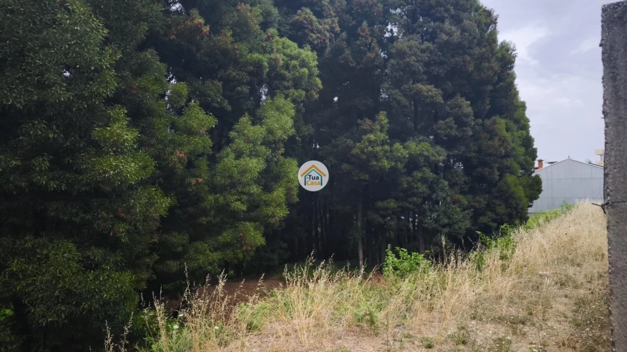 Terreno para Venda em Oliveira do Douro Foto 7