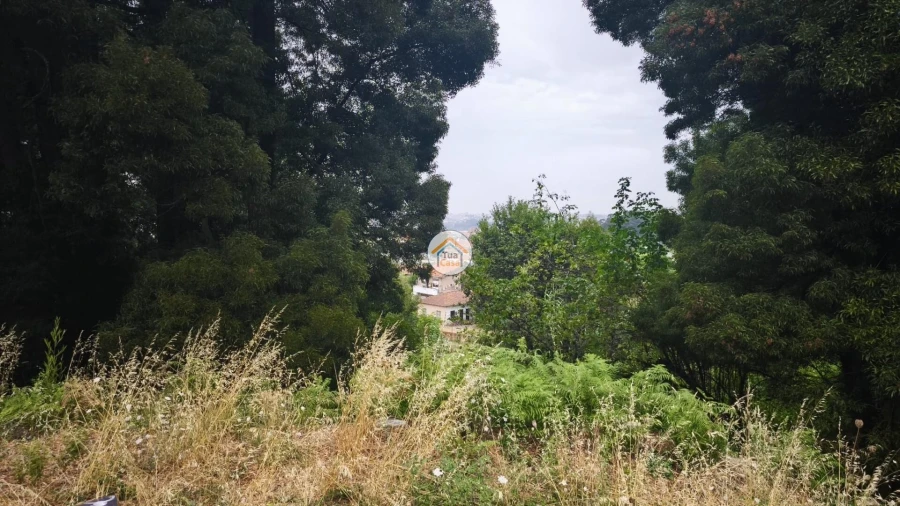 Terreno para Venda em Oliveira do Douro Foto 5