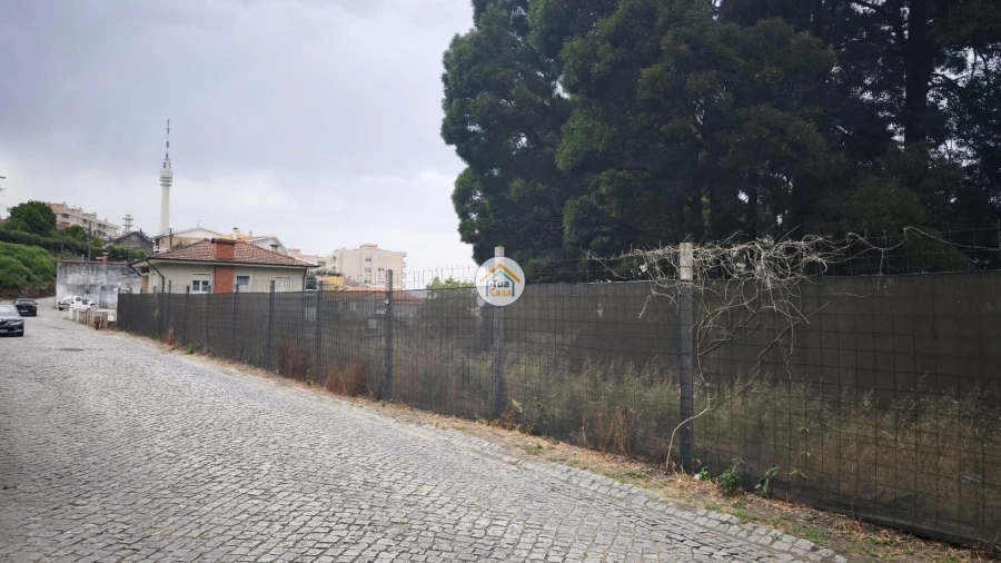 Terreno para Venda em Oliveira do Douro Foto 8