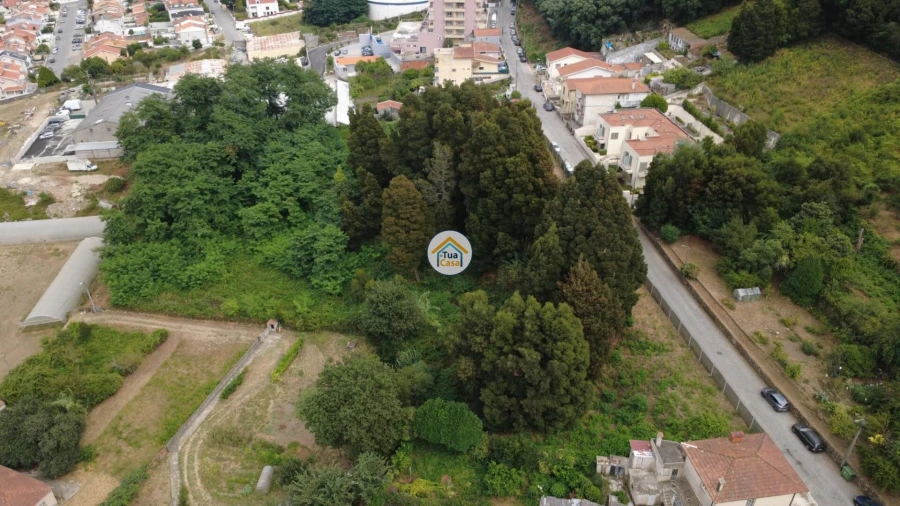 Terreno para Venda em Oliveira do Douro Foto 11