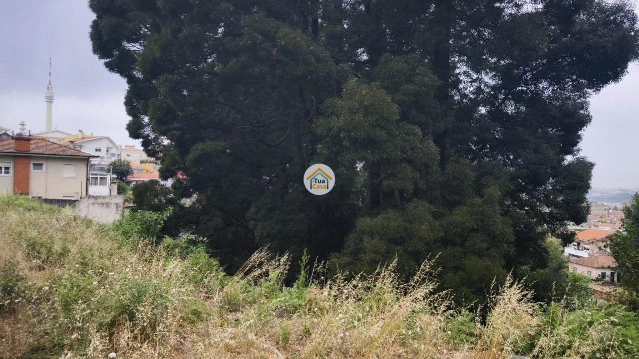 Terreno para Venda em Oliveira do Douro Foto 3