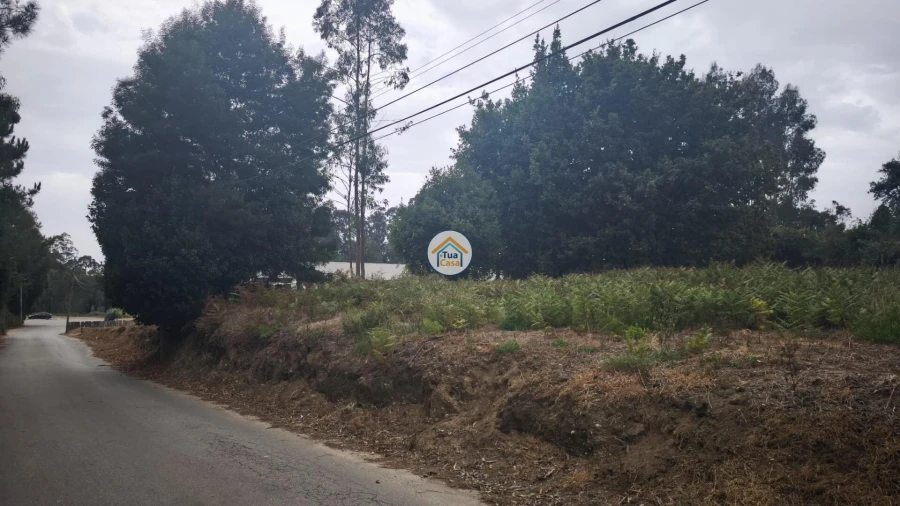 Terreno para Venda em Serzedo e Perosinho Foto 5