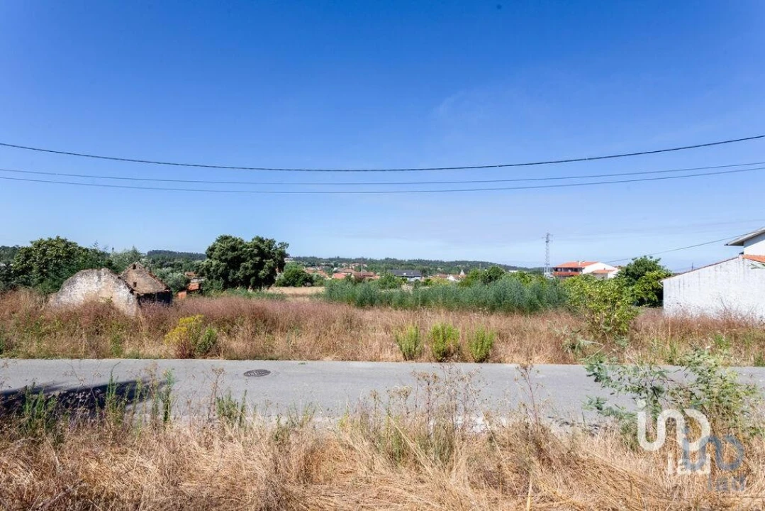 Terreno para Venda em Pampilhosa Foto 2