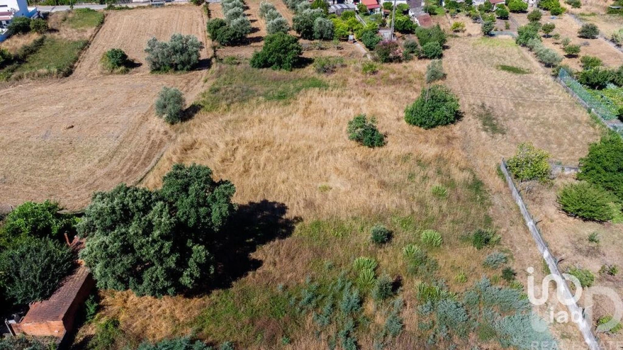 Terreno para Venda em Pampilhosa Foto 19