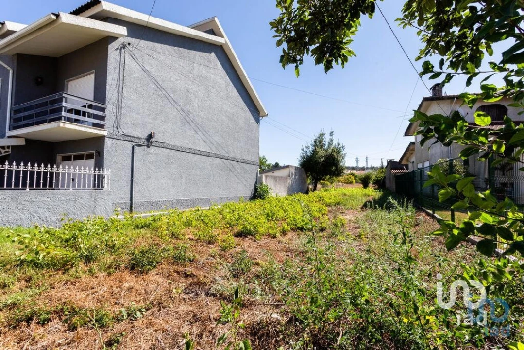 Terreno para Venda em Pampilhosa Foto 6