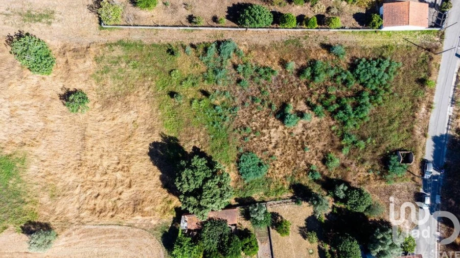 Terreno para Venda em Pampilhosa Foto 17