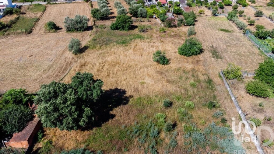 Terreno para Venda em Pampilhosa Foto 19