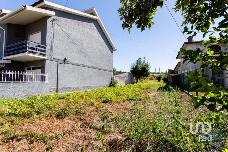 Terreno para Venda em Pampilhosa Foto 6