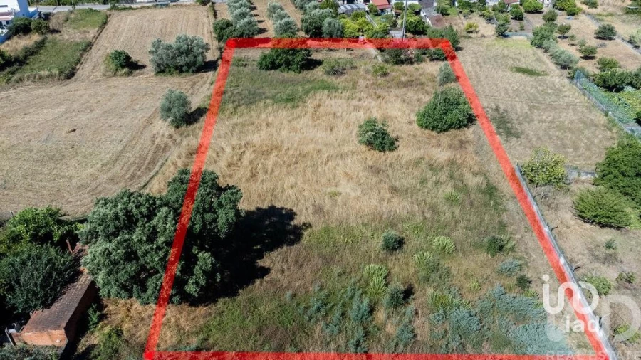 Terreno para Venda em Pampilhosa Foto 18